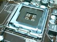 Socket LGA775